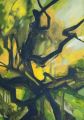 Urwald 1