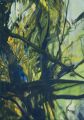 Urwald 3