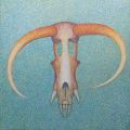 Gazelle